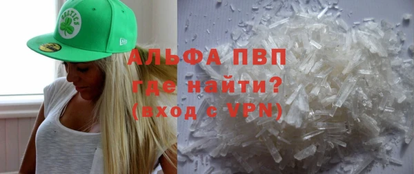 крисы Новодвинск