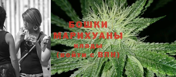 spice Новозыбков