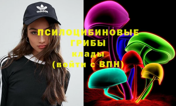 крисы Новодвинск