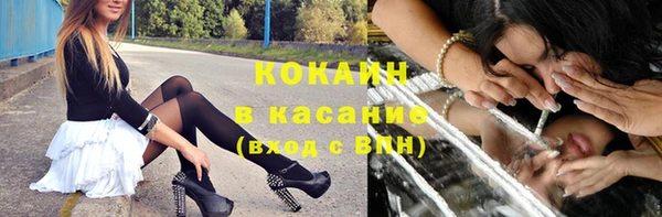 крисы Новодвинск