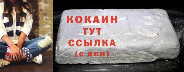 spice Новозыбков