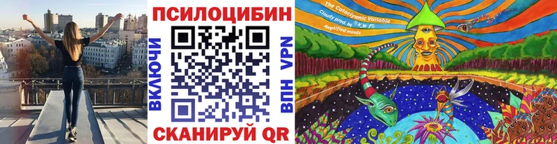 Псилоцибиновые грибы Magic Shrooms  купить наркотики цена  Белебей 